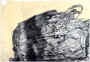 121.jpg (25781 octets)
